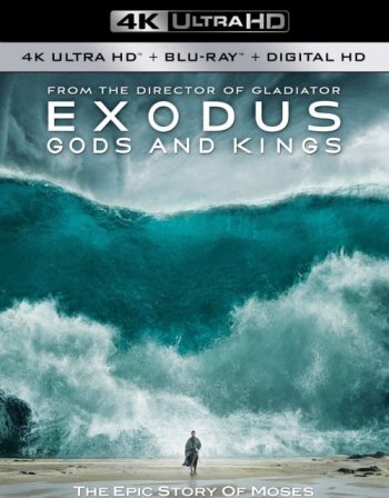 :    (2014) 4K UHD BDRemux 2160p