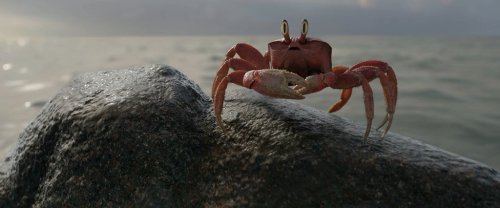  (2023)